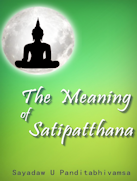 The Meaning of Satipatthana